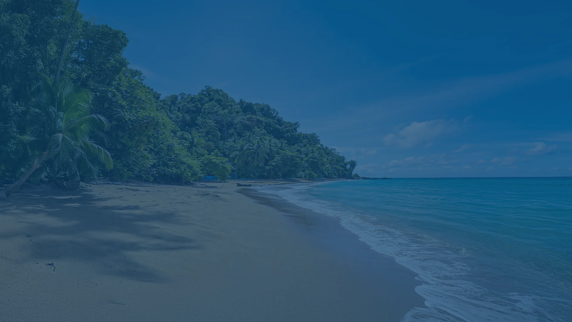 Woman admiring the landscape alongside iguanas - Galaxy Cruises - B2B info