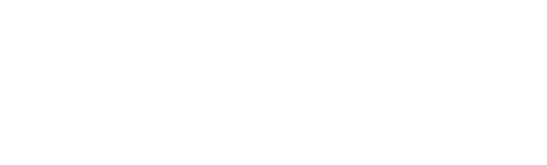 Logo Galaxy Cruises
