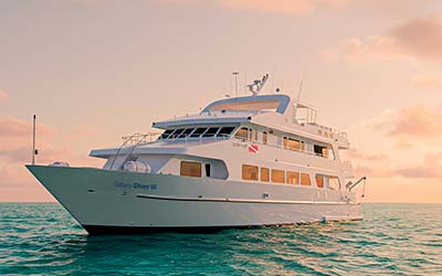Exterior Slide Galaxy Diver 3 - Galaxy Cruises